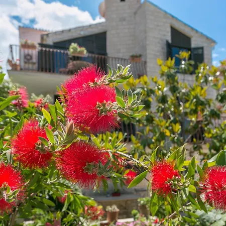 By The Sea Mirca, Brac - 732 * Mirce